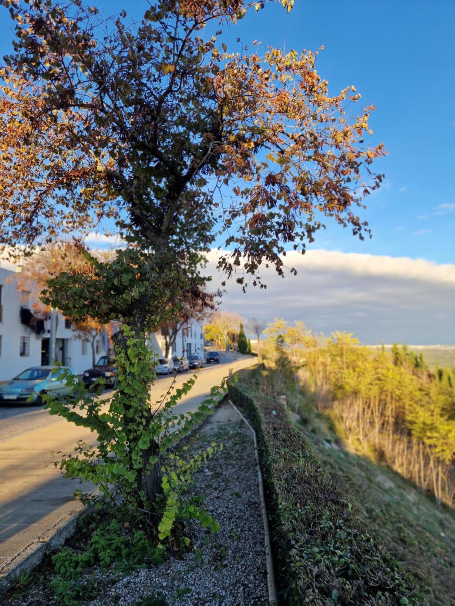Apartamento V27 Baeza Eksteriør bilde